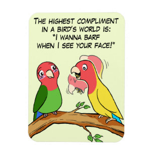 Den långt träffande Lovebirdpapegojan och fågeln Magnet