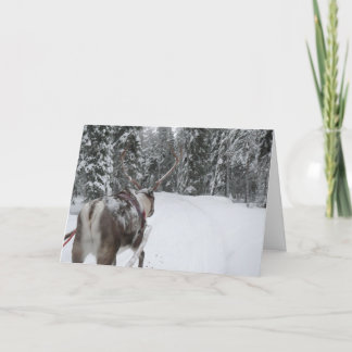 Den Lapland renjulkortet semestrar kortet Helgkort
