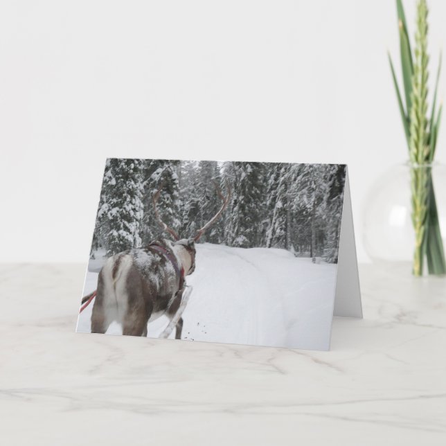Den Lapland renjulkortet semestrar kortet Helgkort (Framsida)