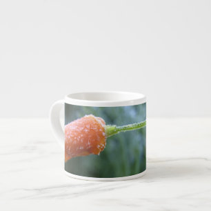 Den lätt frostade Kalifornien vallmon fotografera Espressomugg