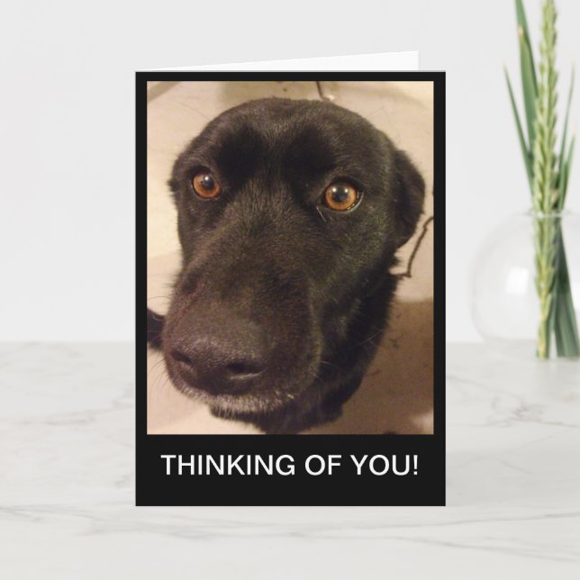 Den ledsna hunden som är tänkande av dig, card kort (Framsida)