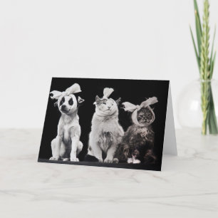 Den ledsna trioen, tom insida kort