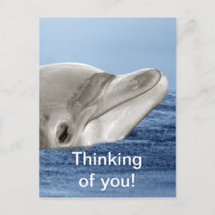 Den leende delfinen vykort