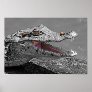 Den leende krokodilen och flugorna poster