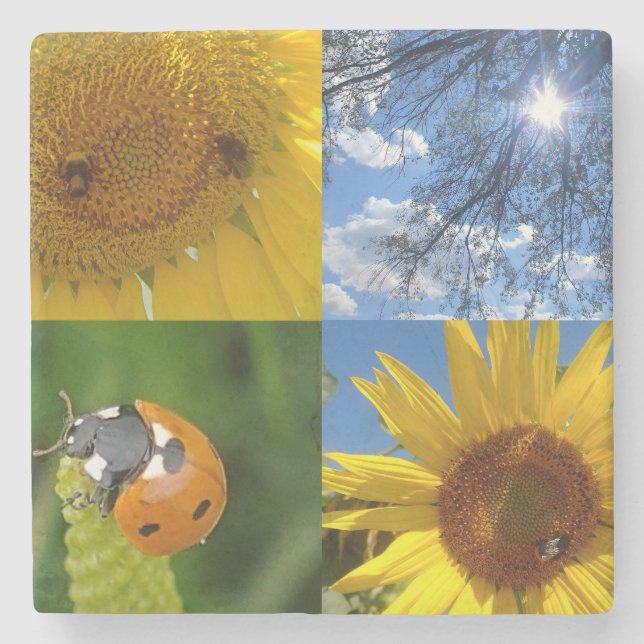 Den leende solrossen stenunderlägg (Framsidan)