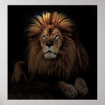 Den Lejona Afrikan Golden Proud