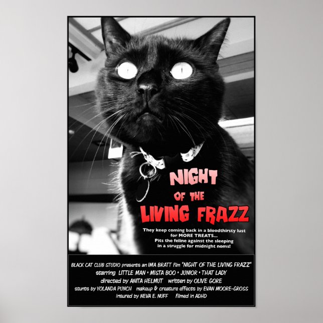 Den levande Frazz-natten! Cat Horror Movie Poster (Framsidan)