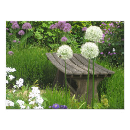 Den lilla bench - Kodak Pro Photo Print Satin Fototryck