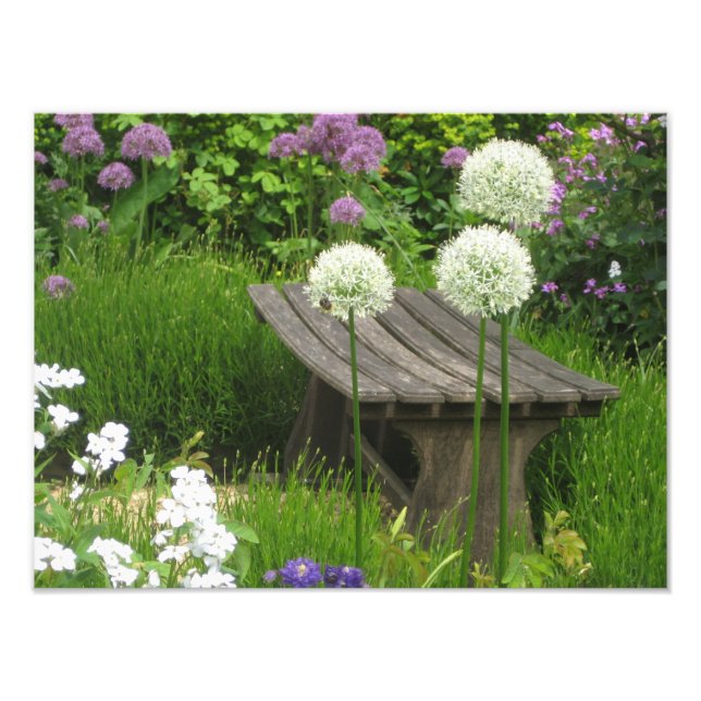 Den lilla bench - Kodak Pro Photo Print Satin Fototryck (Framsidan)