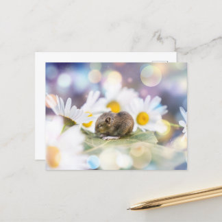 Den lilla Saken Vykort