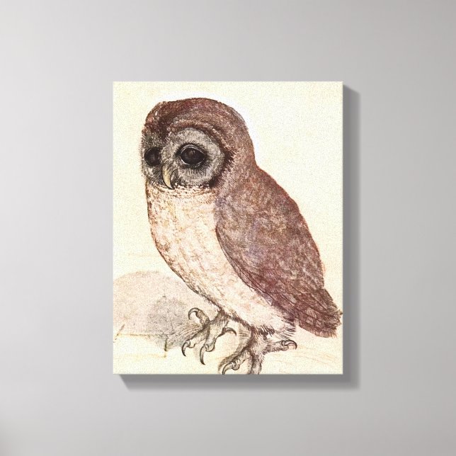 Den lilla Uggla | Albrecht Dürer Canvastryck (Framsida)