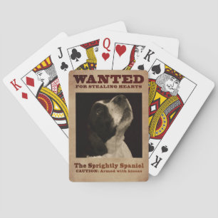 Den livliga Springerspanielen Casinokort