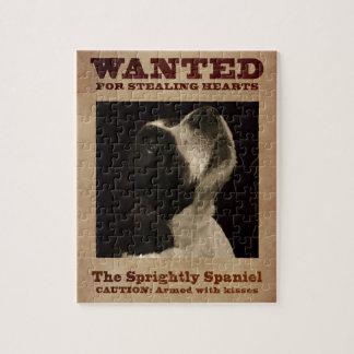 Den livliga Springerspanielen Pussel