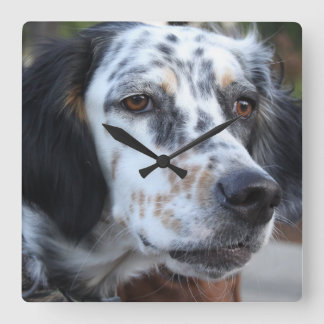 Den Llewellin Setterväggen tar tid på Fyrkantig Klocka