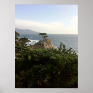 Den Lone Cypressen av Monterey Poster