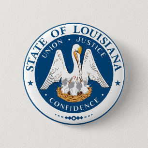 Den Louisiana statlig flagga USA förenade Amerika Knapp