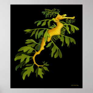 Den lövrika affischen för havsdrakeSeahorse Poster