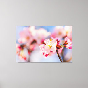 Den Lysande Skönheten Hos Rosa Sakura Blommor Canvastryck