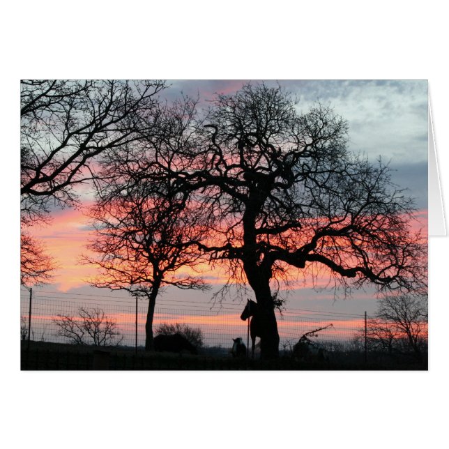 Den magiska himmlen hälsningskort (Framsidan Horizontal)