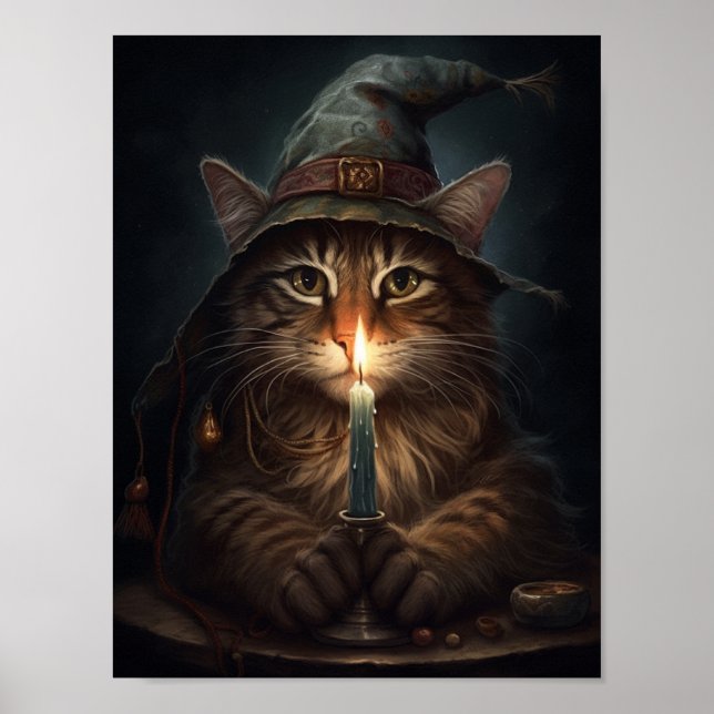 Den magiska katten poster (Framsidan)