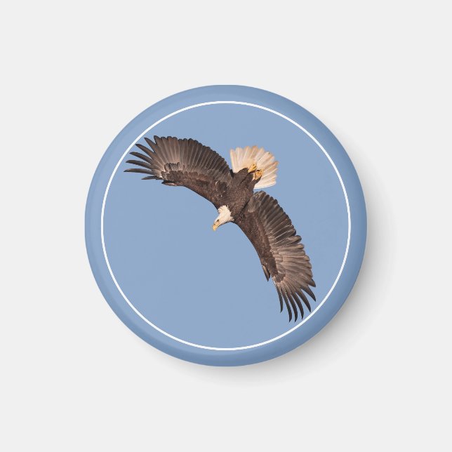 Den mäktiga Eagle Magnet (Framsidan)