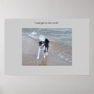 Den mäktige Collie Poster