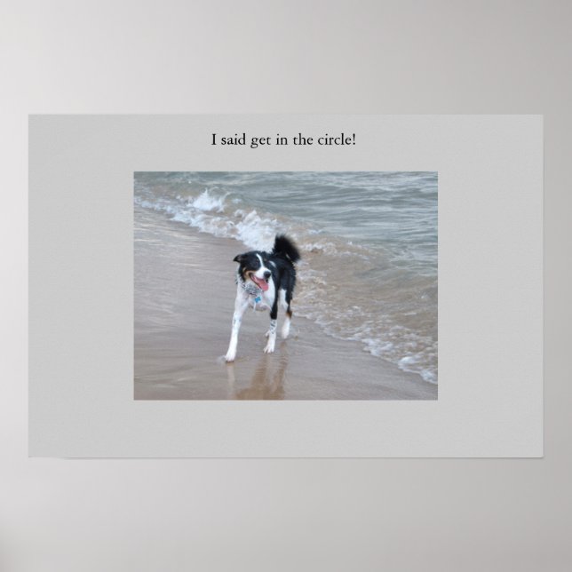 Den mäktige Collie Poster (Framsidan)