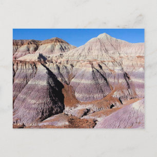 Den målade Desert Petrified Forest National Park Vykort