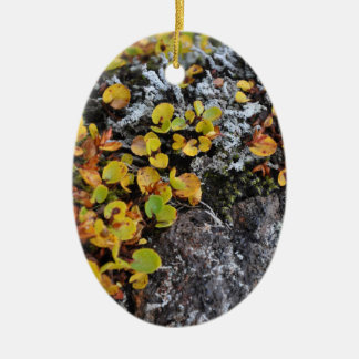 Den malde isländskan täcker prydnaden julgransprydnad keramik