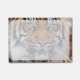 Den Male Siberian tigern målar fotograferar Post-it Block