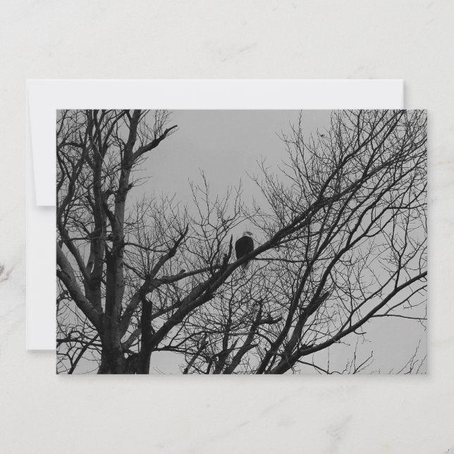 Den Male tagande klockan Inbjudningar (Framsida)