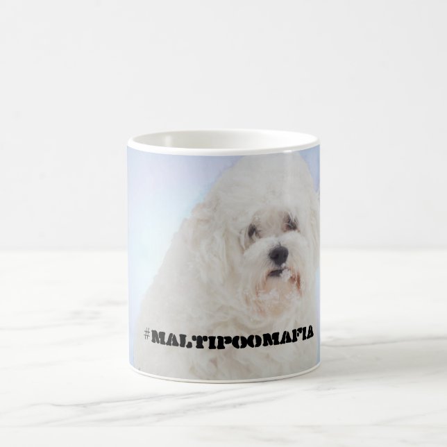Den Maltipoo maffian rånar Kaffemugg (Center)