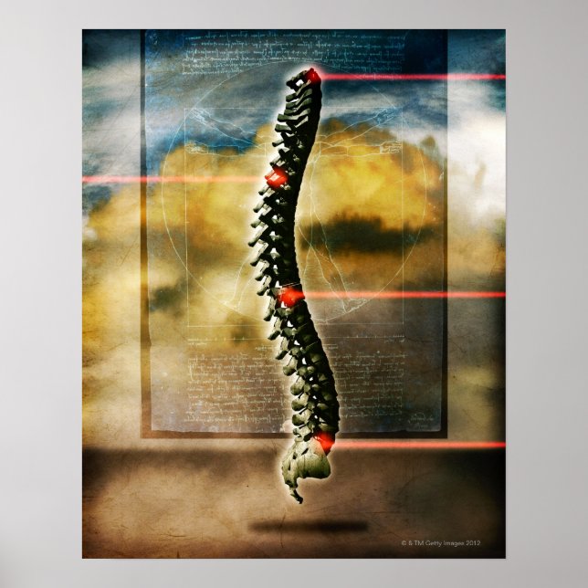 Den mänskliga ryggraden poster (Framsidan)