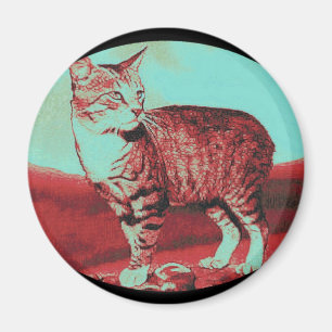 den Manx katten Magnet