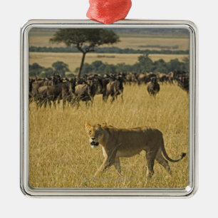 Den MasaiMara medborgare reserverar, Kenya, afrika Julgransprydnad Metall