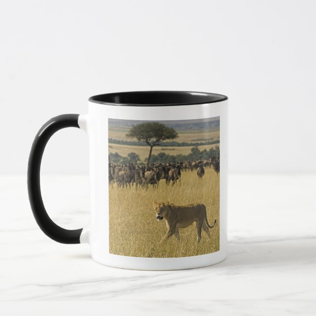 Den MasaiMara medborgare reserverar, Kenya, afrika Mugg (Vänster)