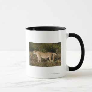 Den MasaiMara medborgare reserverar, Kenya Mugg