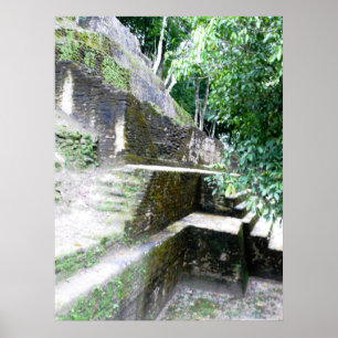 Den Mayan vinkeln Poster