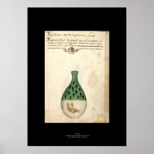 Den medeltida italienska alkemiaffischen pläterar poster