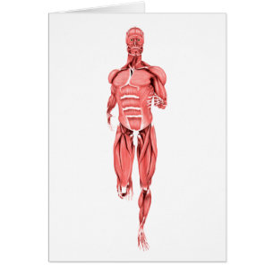 Den medicinska illustrationen av manlign tränga hälsningskort