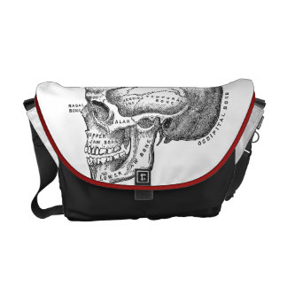 Den medicinska skallen hänger lös - anatomi hänger messenger bag