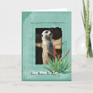 Den Meerkat samlingen noterar kortet Kort