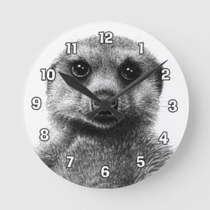 Den Meerkat väggen tar tid på Rund Klocka