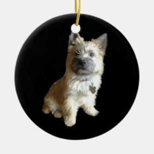 Den mest gulliga röseterrieren någonsin! Mer Julgransprydnad Keramik