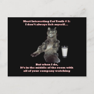 Den mest intressanta kattan #3.jpg vykort