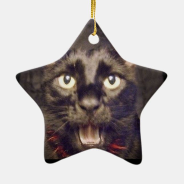 Den mest stiliga stjärnaprydnaden julgransprydnad keramik (Baksidan)