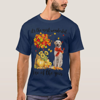 Den mest underbara höststilen Labrador Pumpki T Shirt