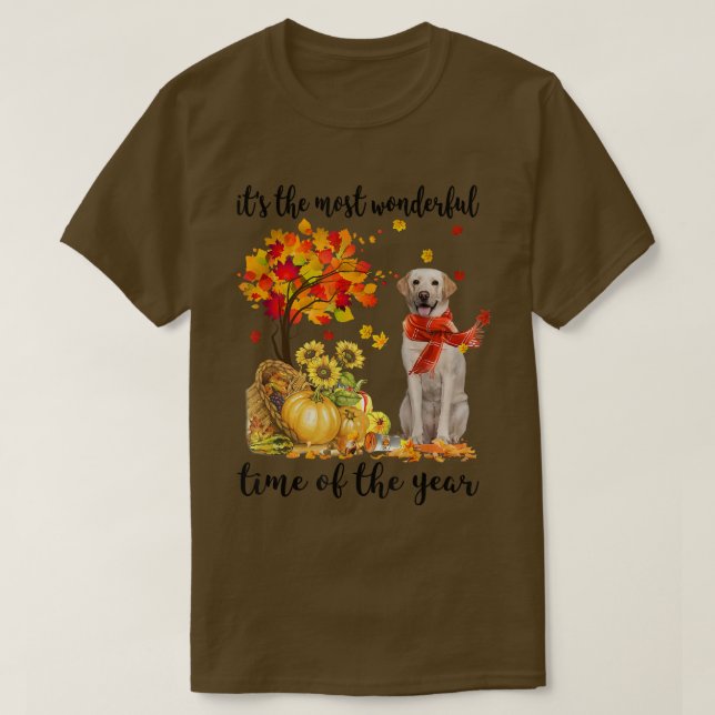 Den mest underbara höststilen Labrador Pumpki T Shirt (Design framsida)