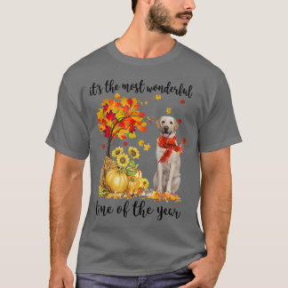 Den mest underbara höststilen Labrador Pumpki T Shirt