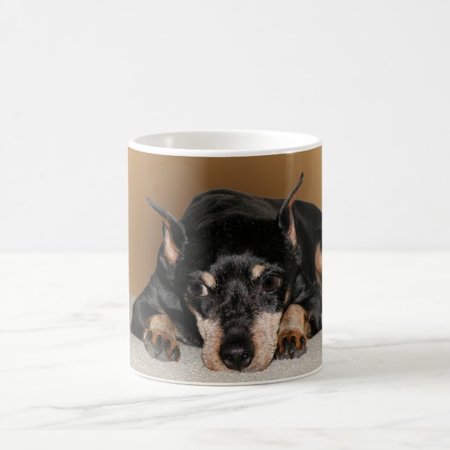 Den miniatyrPinscheraka minuten klämmer fast Kaffemugg (Center)